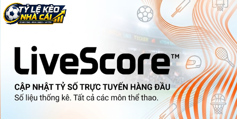 Sử Dụng Livescore Giúp Cập Nhật Thông Tin Bóng Đá Nhanh Hơn
